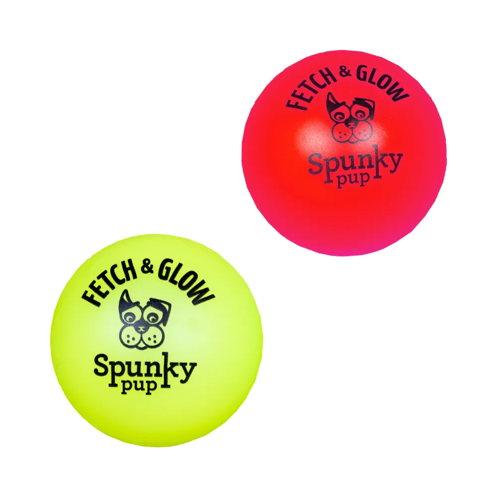 Fetch and Glow Ball 2pk - Small