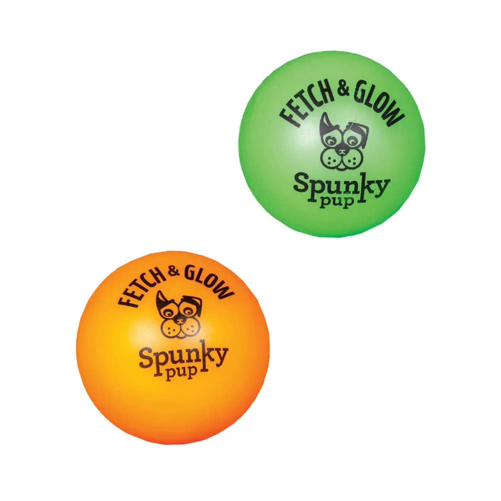 Fetch and Glow Ball 2pk - Small