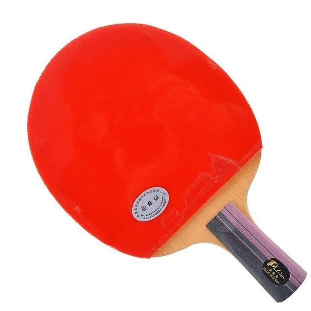 Palio 3 Star Expert Table Tennis Bat   Case